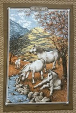 VINTAGE 1980s WELSH PONIES
