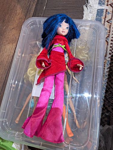 Winx club mattel - mattel, night