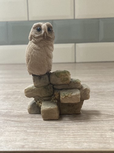 Teviotdale owl wall - on,