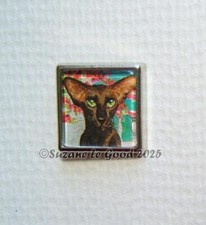 Oriental Havana cat art lapel