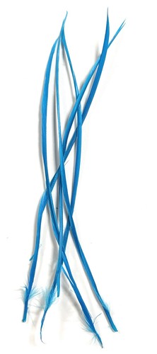 Long fascinator feathers - long,