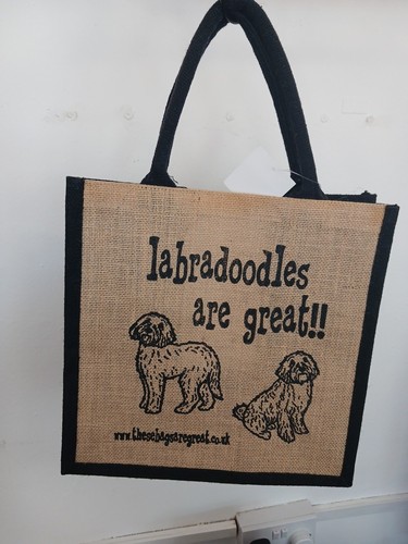 Labradoodles are great - are,