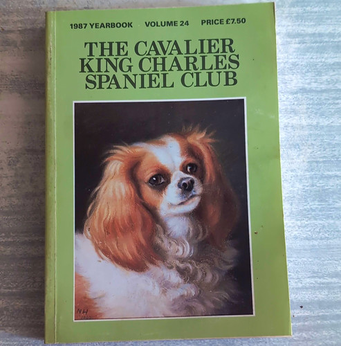 Cavalier king charles spaniel - king,