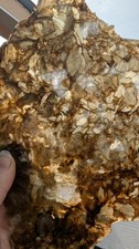 Large Shiny Golden Mica In