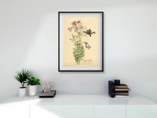 Rennie Mackintosh FRAMED PRINT Cuckoo Flower A3 digital Black White or Oak Frame