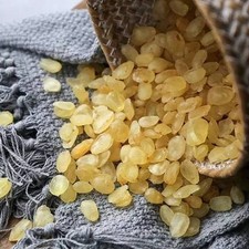 Premium quality snow lotus