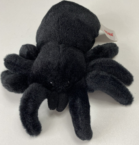 Aurora black tarantula - black, spider