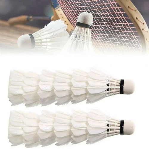 12pcs training goose feather - 12pcs,