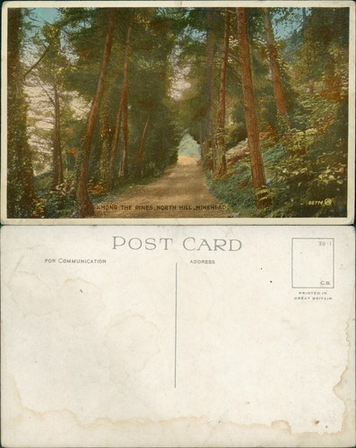 Minehead among the pines - minehead,