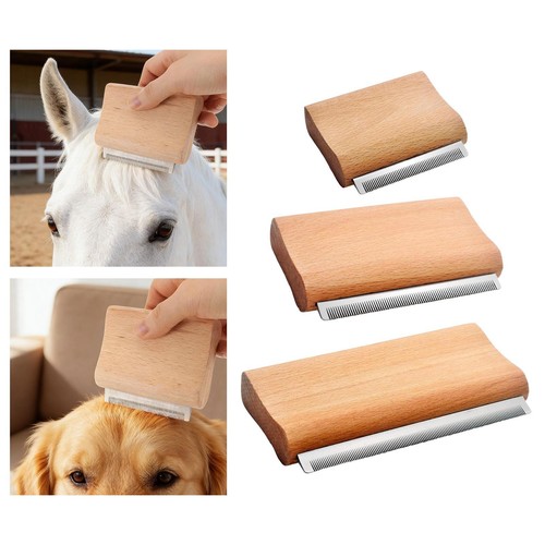 Horse brush curry comb - horse,