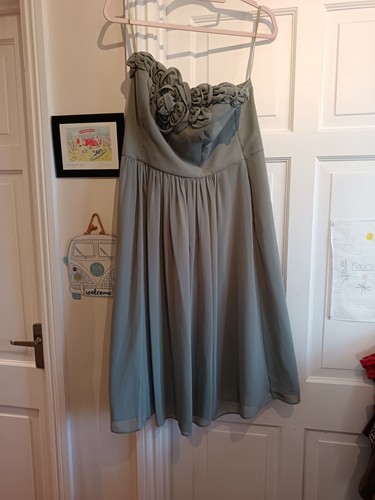 Debut debenhams sage green