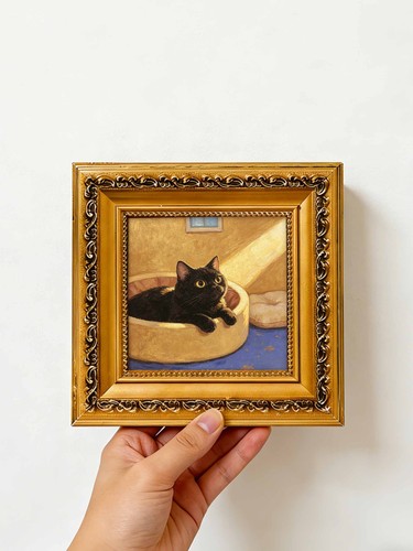 Black cat sunlit bed - cat,