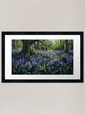 Easter Bluebells in the Woods