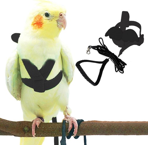 Pet parrot bird harness and - pet,