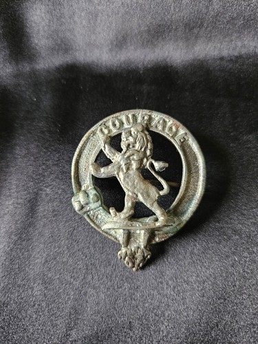 Vintage scottish heraldic lion - scottish,