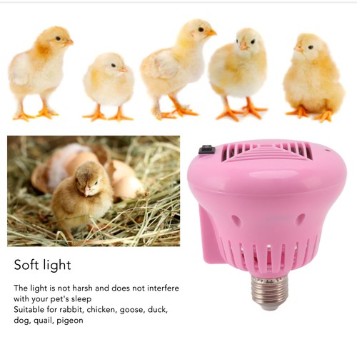 Pet heater light gear - 3,