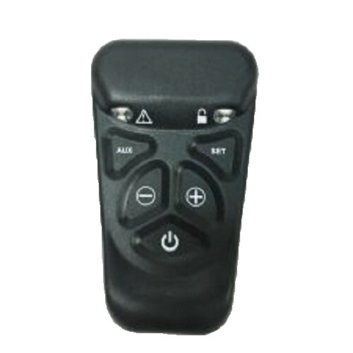 Onyx gas fire - fire, remote