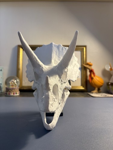Triceratops skull printed - skull, 3d-printed