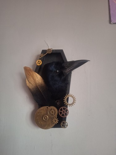 Taxidermy carrion crow head - carrion,