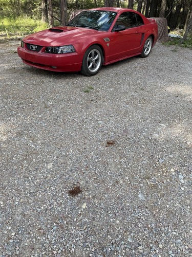 1999 ford mustang - 1999,