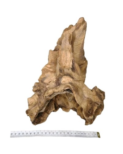 Large decorative wood bogwood - large,