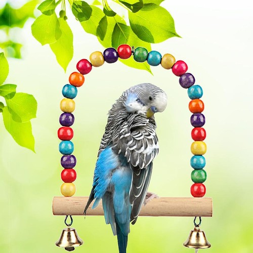 Bird swing colorful - colorful, wood
