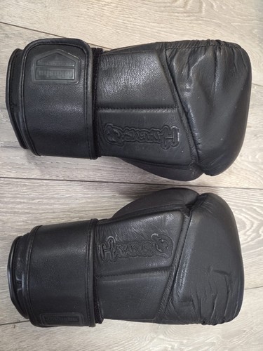 Hayabusa tokudhu regenesis - hayabusa,