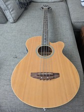 Artisan Electro acoustic bass