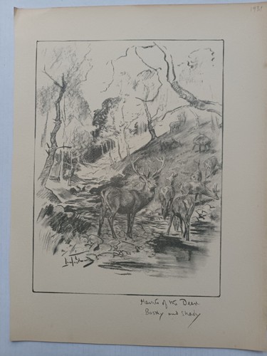 Lionel edwards sketch - edwards,