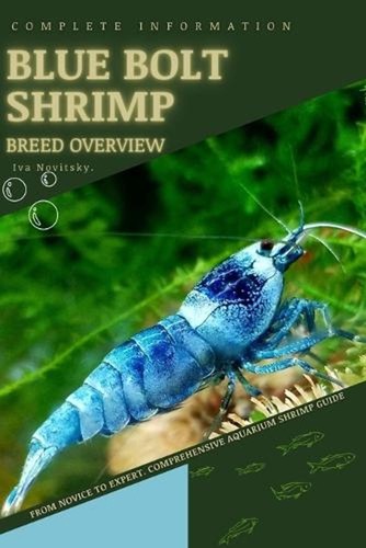 Blue bolt shrimp - bolt, shrimp: