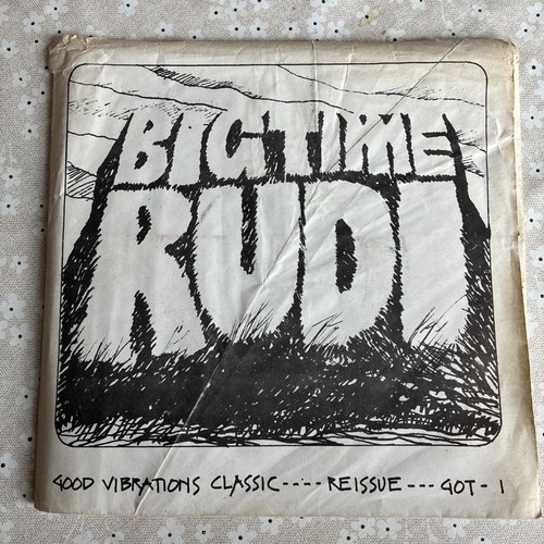 Rare irish punk rudi - irish,