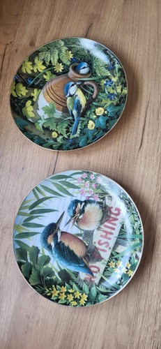 Robert hersey british - hersey, birds