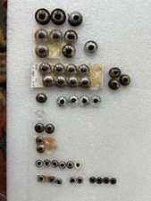 Taxidermy fish glass eyes - taxidermy,