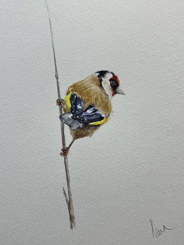 Watercolour painting original - watercolour,