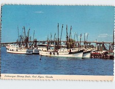 Postcard Picturesque Shrimp