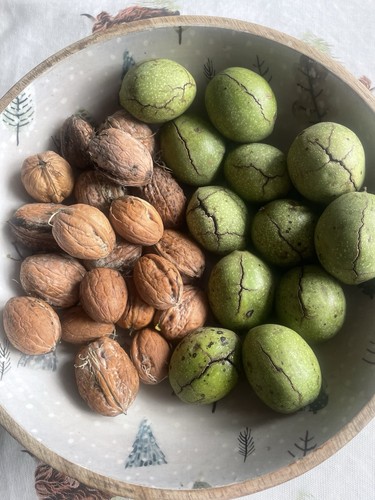 Fresh english wet walnuts - fresh,