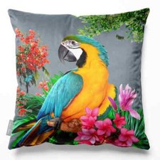 Luxury Designer Eco-Velvet