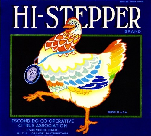 Escondido stepper chicken - escondido,