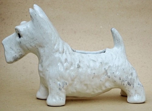 Scottish terrier scottie - scottie, dog