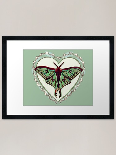 Stained glass moth framed - framed, art