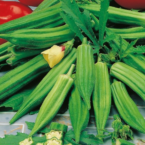 Okra clemsons spineless - okra,