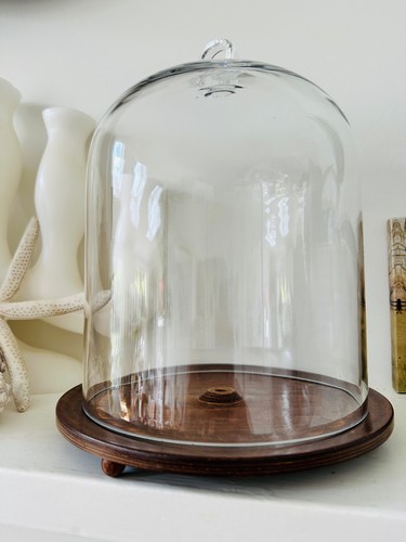 Large glass display - large,