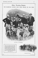 Otter hunting culmstock hounds - otter,