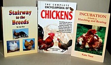 Keeping Chickens - Chicken Related Books x3, Incubation, Hatching, Breeds, Etc.