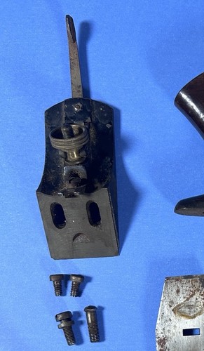 Stanley frog with - with, lateral