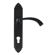 From The Anvil Gothic Curved Espagnolette Door Handle on Backplate