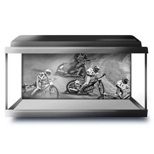 Fish tank background 90x45cm - fish,