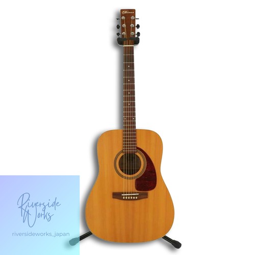 Norman acoustic guitar - norman, b20