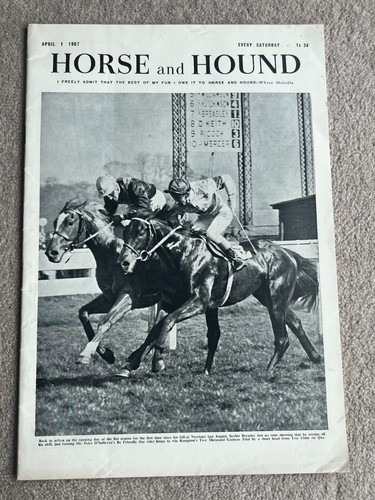 1967 horse and hound - horse,