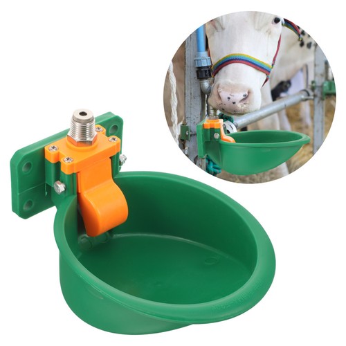 Automatic cow drinking water - automatic,
